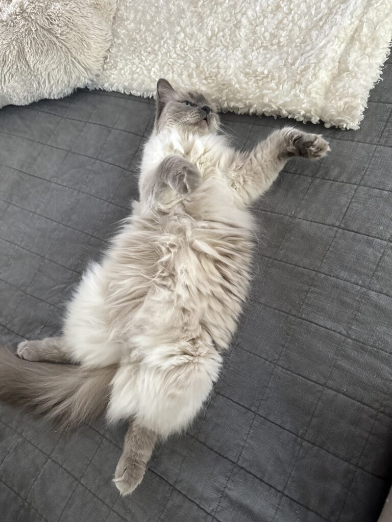 Church of St. George | Long Lake, MN